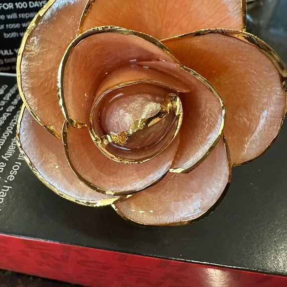 24kt gold dipped rose “Blush”